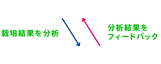 栽培結果を分析 分析結果をフィードバック