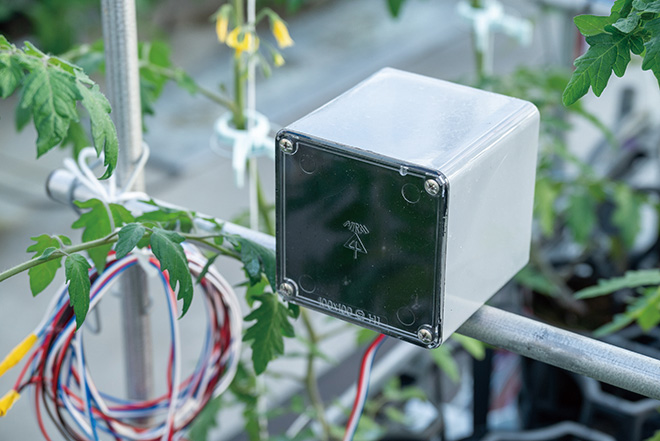 写真：葉面積センサー