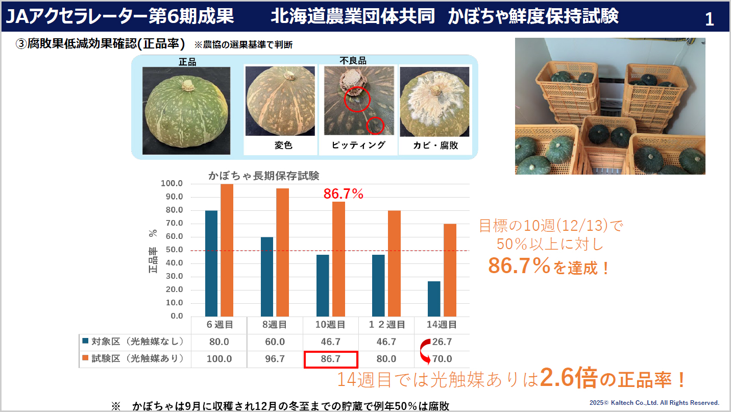写真：「北海道農業団体共同かぼちゃ鮮度保持試験」資料