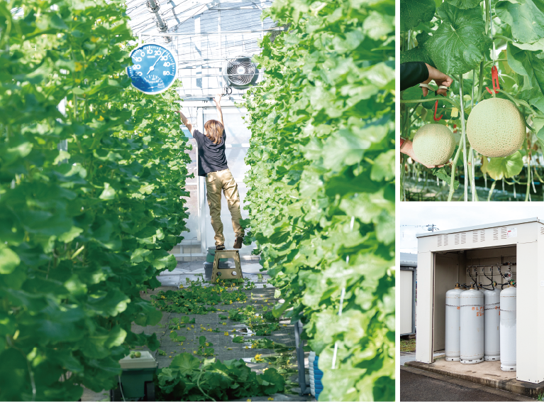 写真：大静ファーム株式会社 